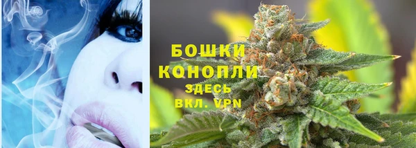 крисы Абдулино
