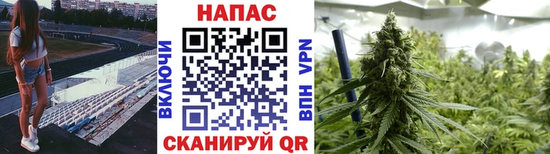 закладки  Избербаш  Бошки марихуана тримм 